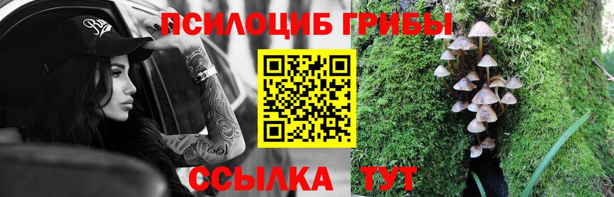 Галлюциногенные грибы Cubensis  Вход с VPN  Майский 